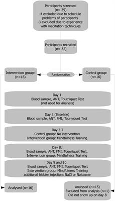 Neurobiological Aspects of Mindfulness in Pain Autoregulation: Unexpected Results from a Randomized-Controlled Trial and Possible Implications for Meditation Research
